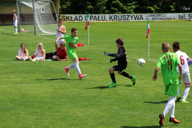 山東泰山的 山東泰山的