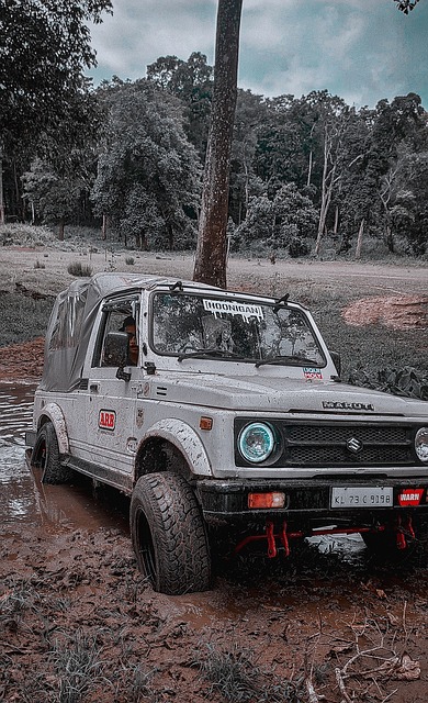 现出强大的 现出强大的