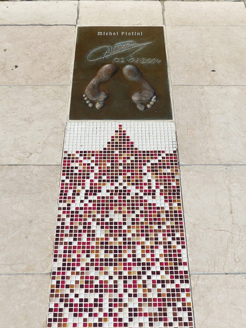 支组织严密 支组织严密