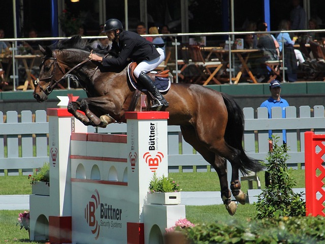 激烈的挑戰 激烈的挑戰